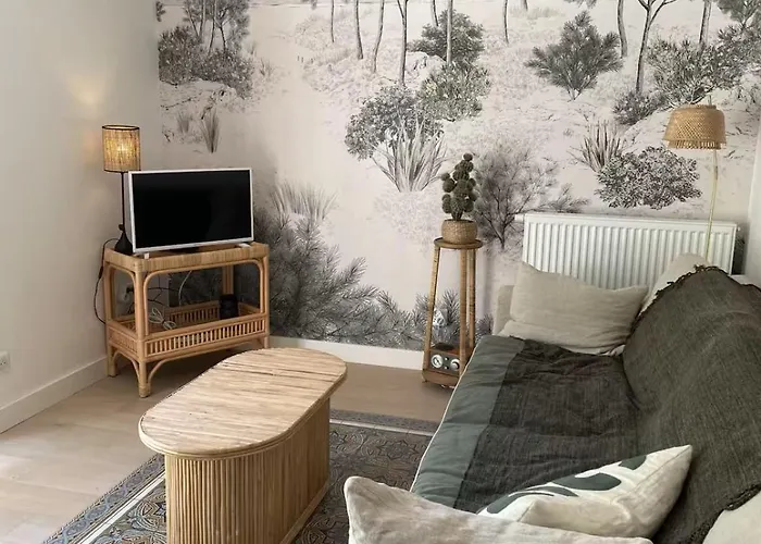 3 Pieces Avec Grande Terrasse, Entre Port Et Hyper Centre